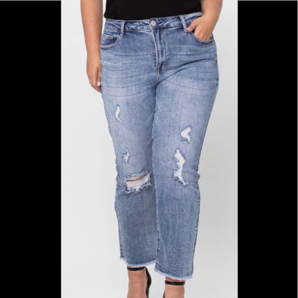 Plus Vervet By Flying Monkey Jeans